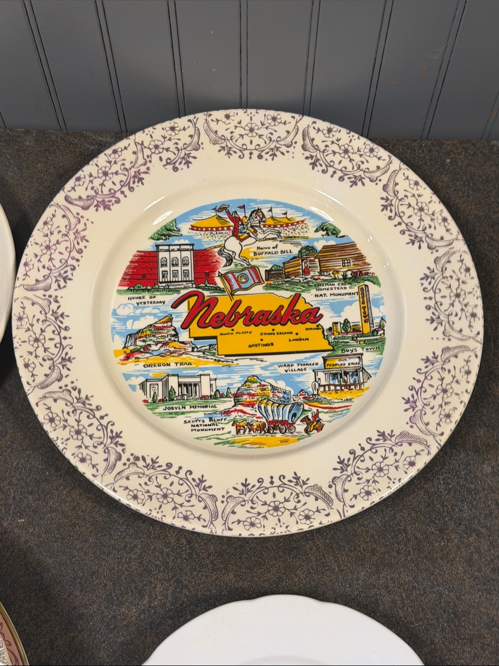 Nebraska Scenic Decorative Dinner Plate - Purple and Multicolor